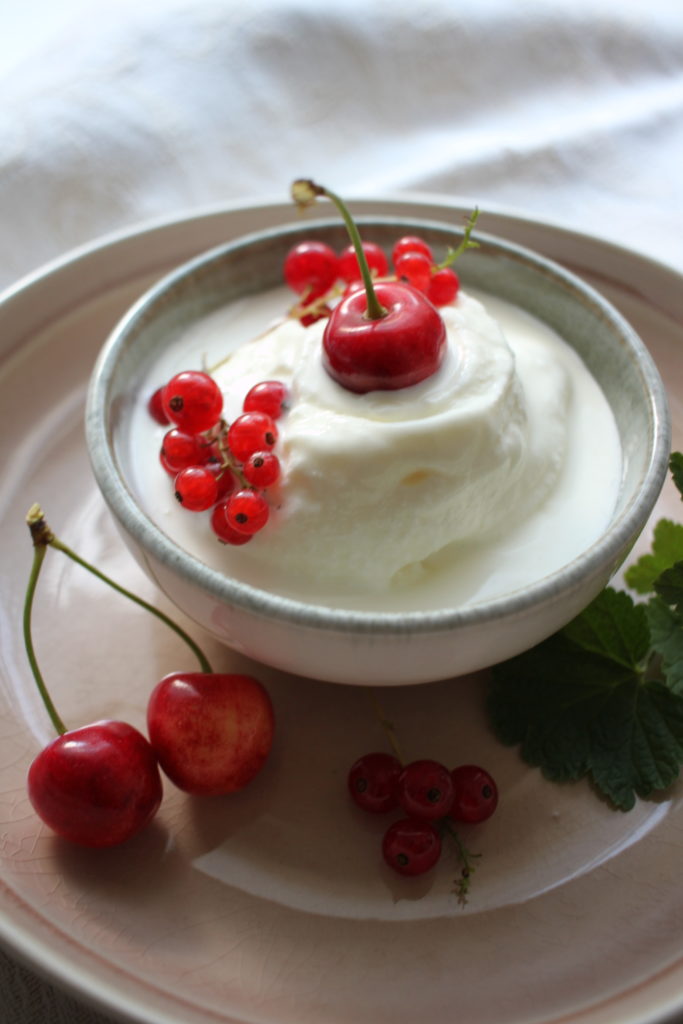 Frozen Joghurt, selbstgemacht – Herzstück